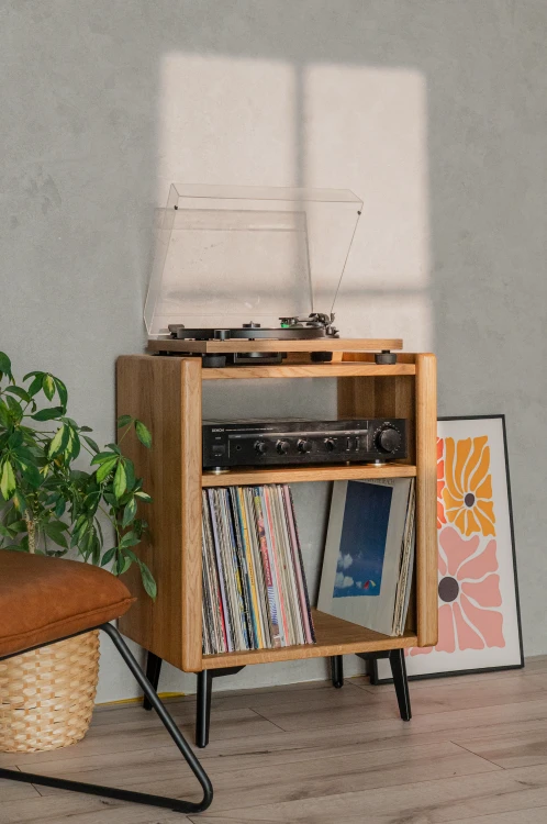 szafka-na-gramofon-i-plyty-winylowe-02.jpg