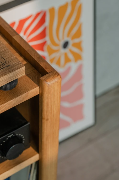 szafka-na-gramofon-i-plyty-winylowe-03.jpg