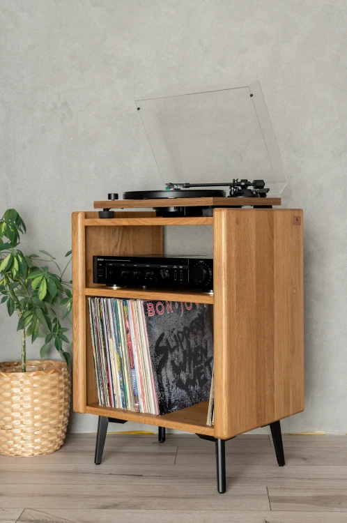 szafka-na-gramofon-i-plyty-winylowe-06.jpg