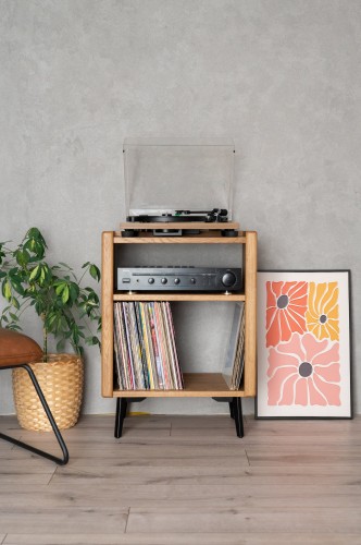 szafka-na-gramofon-i-plyty-winylowe-01-opt.jpg