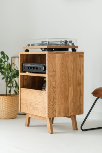 szafka-na-gramofon-i-plyty-winylowe-07-opt.jpg