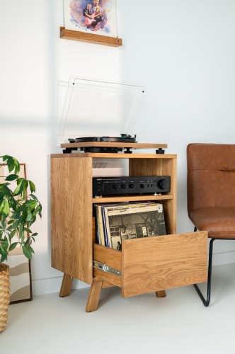szafka-na-gramofon-i-plyty-winylowe-05-opt.jpg