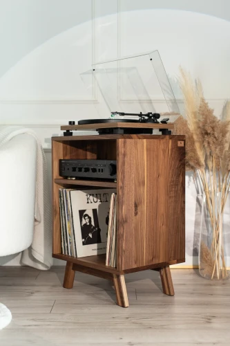 szafka-na-gramofon-i-plyty-winylowe-08.webp