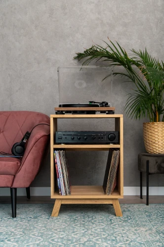 szafka-na-gramofon-i-plyty-winylowe-01.webp