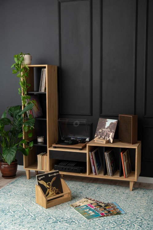 szafka-na-plyty-winylowe-i-gramofon.jpg