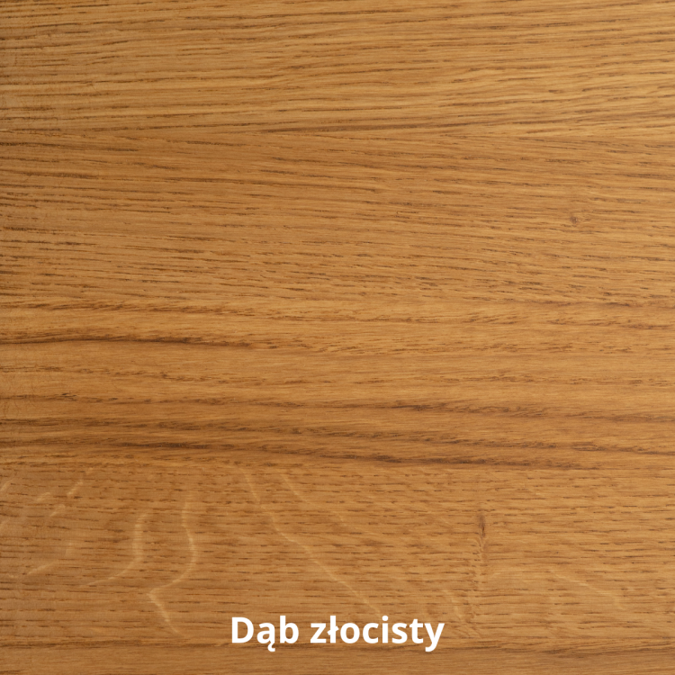 Dab-zlocisty.png