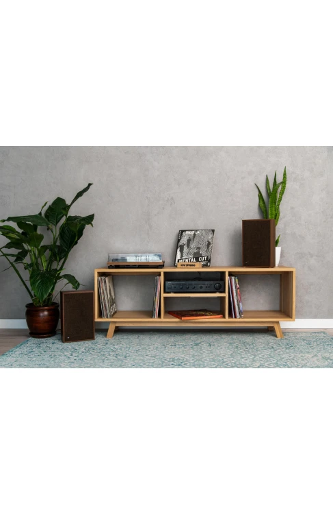 szafka-na-plyty-winylowe-i-gramofon.jpg