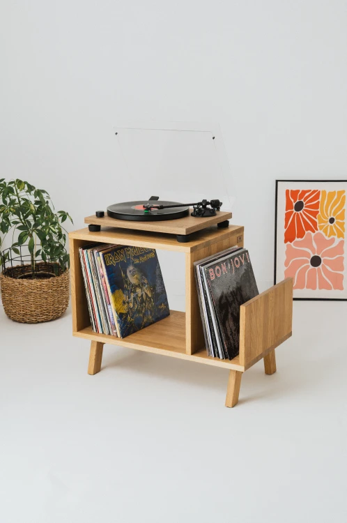 szafka-na-gramofon-i-plyty-winylowe-02.jpg