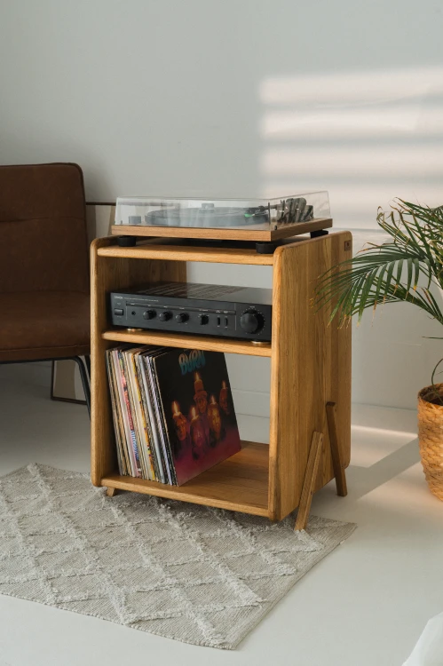 szafka-na-gramofon-i-plyty-winylowe-03.jpg