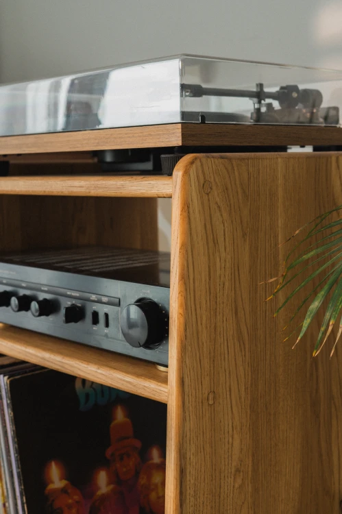 szafka-na-gramofon-i-plyty-winylowe-04.jpg