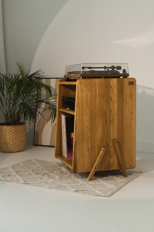 szafka-na-gramofon-i-plyty-winylowe-06.jpg