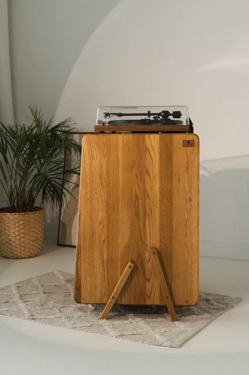 szafka-na-gramofon-i-plyty-winylowe-07.jpg