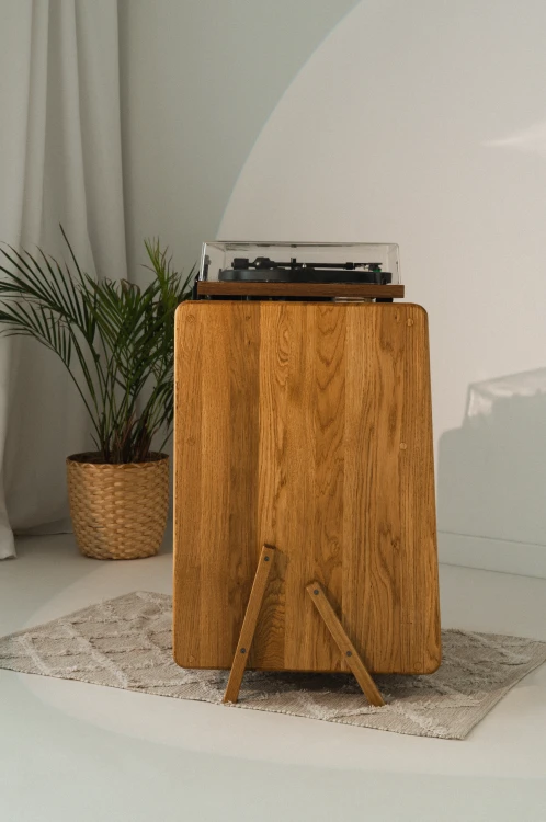 szafka-na-gramofon-i-plyty-winylowe-08.jpg