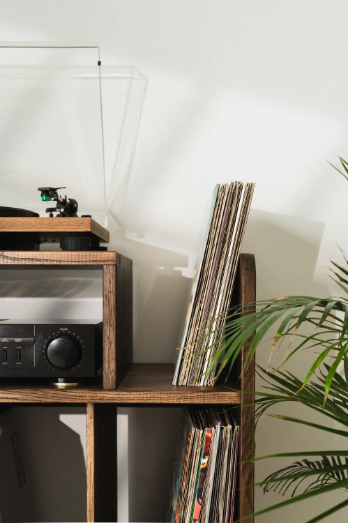 szafka-na-gramofon-i-plyty-winylowe-02.jpg