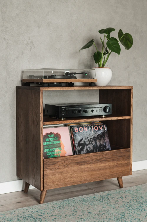 szafka-na-gramofon-i-plyty-winylowe-03.jpg