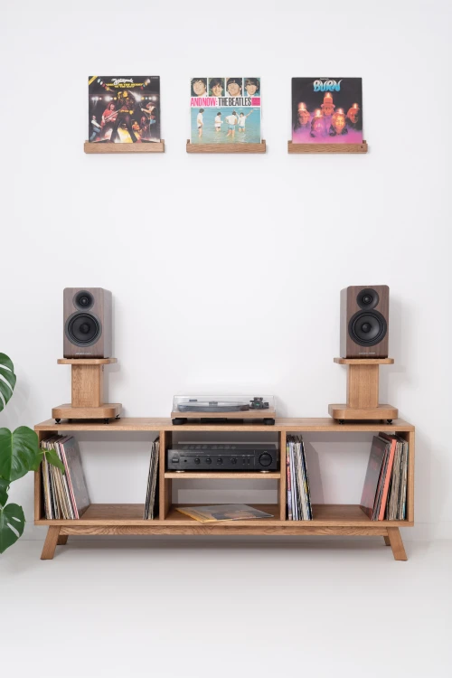 szafka-na-gramofon-i-plyty-winylowe-05.jpg