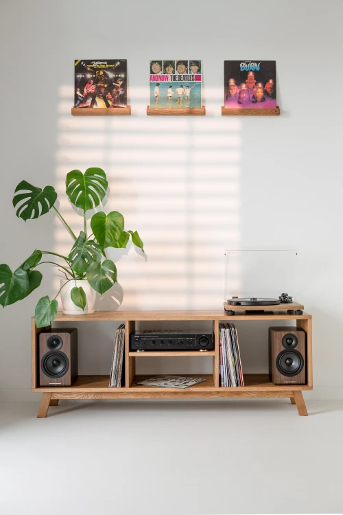 szafka-na-gramofon-i-plyty-winylowe-07.jpg