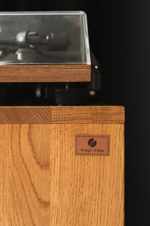 szafka-na-gramofon-i-plyty-winylowe-05.jpg