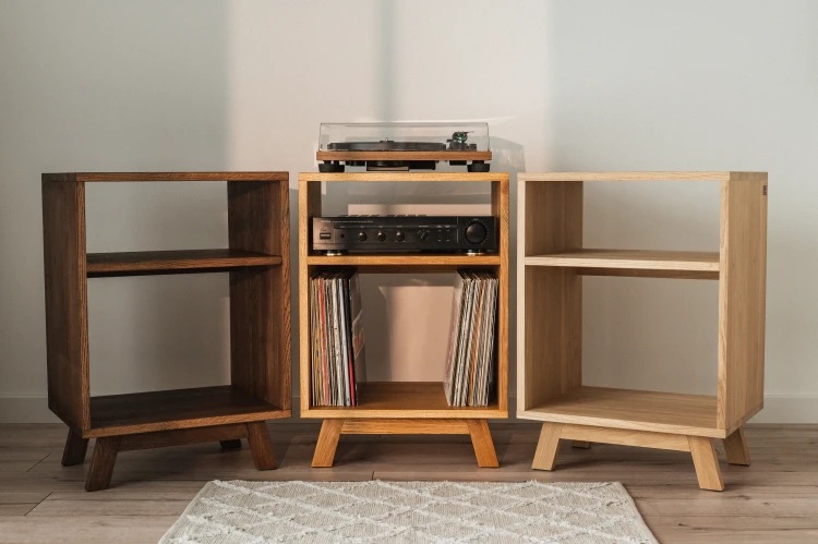 szafka-na-gramofon-i-plyty-winylowe-10.jpg