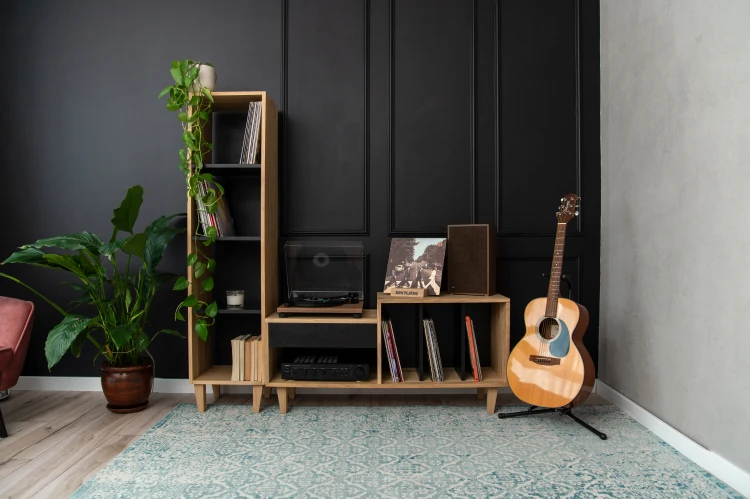 szafka-na-gramofon-i-plyty-winylowe-01.jpg