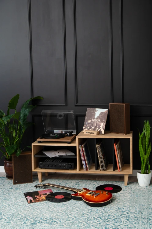 szafka-na-gramofon-i-plyty-winylowe-04.jpg