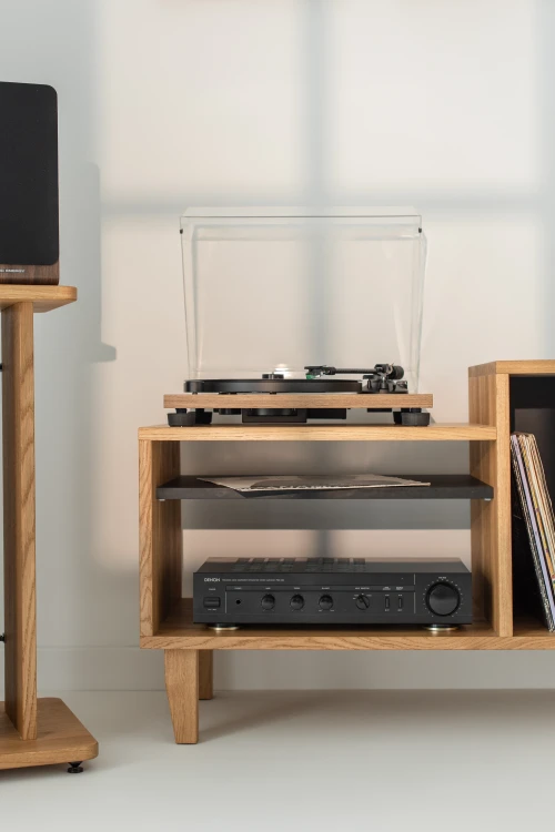 szafka-na-gramofon-i-plyty-winylowe-08.jpg