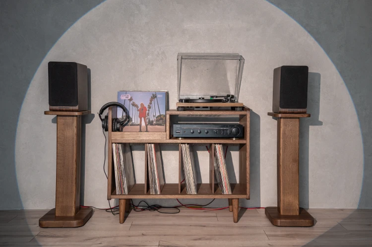 szafka-na-gramofon-i-plyty-winylowe-03.jpg