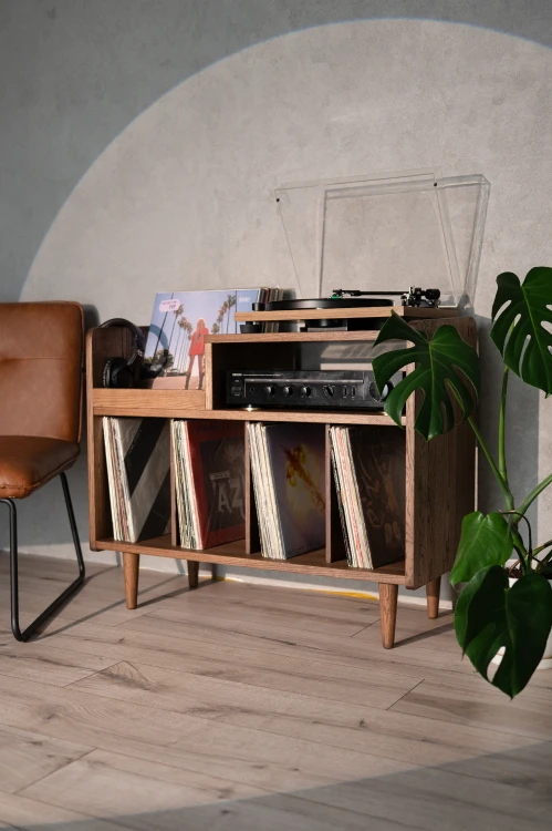 szafka-na-gramofon-i-plyty-winylowe-08.jpg