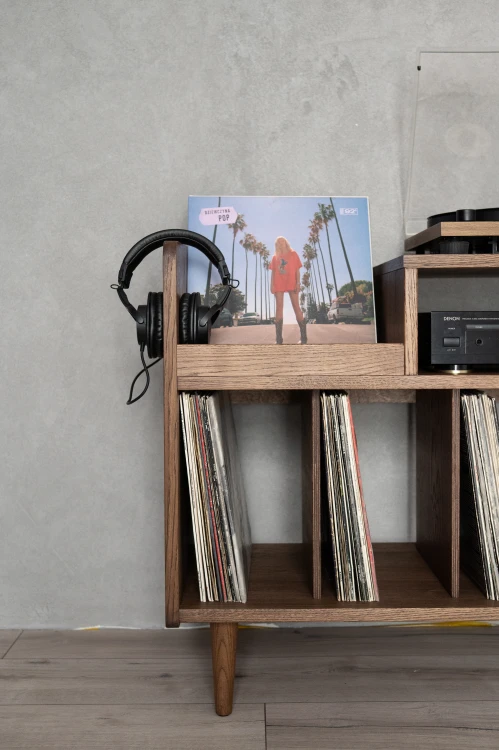 szafka-na-gramofon-i-plyty-winylowe-10.jpg