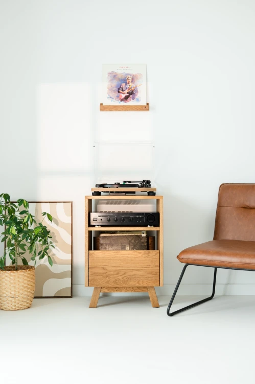 szafka-na-gramofon-i-plyty-winylowe-06.jpg