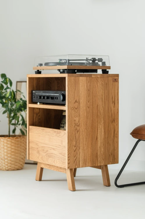 szafka-na-gramofon-i-plyty-winylowe-07.jpg