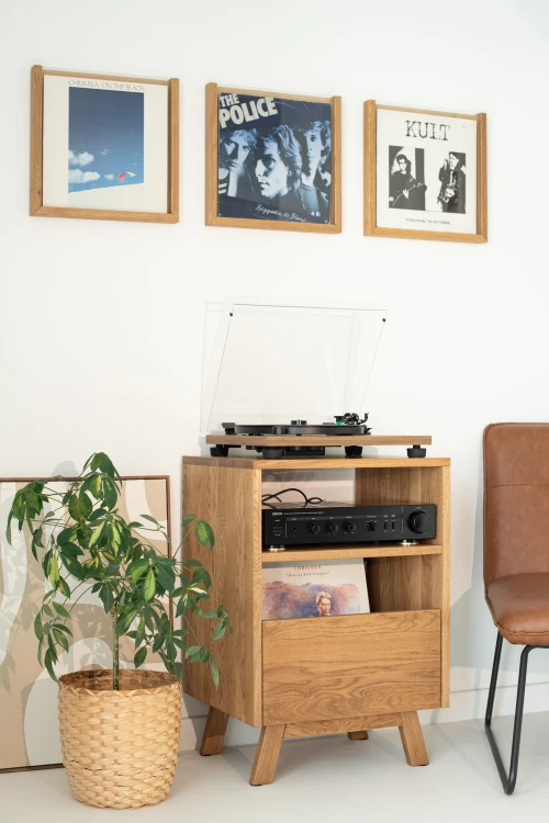 szafka-na-gramofon-i-plyty-winylowe-09.jpg