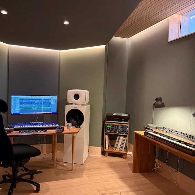 Mebel Vinyl Vibe w domowej aranżacji